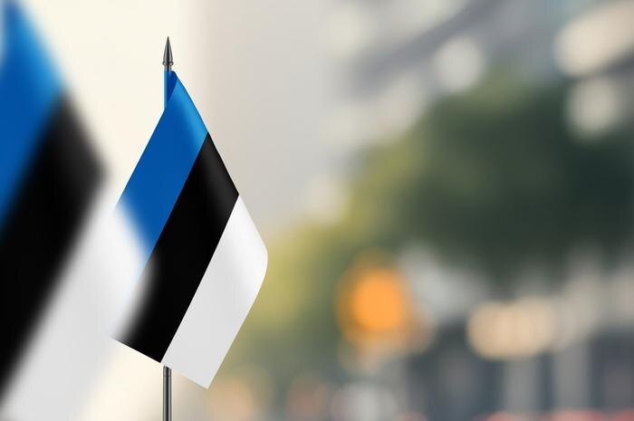 Обложка © Shutterstock / FOTODOM / Mini Onion