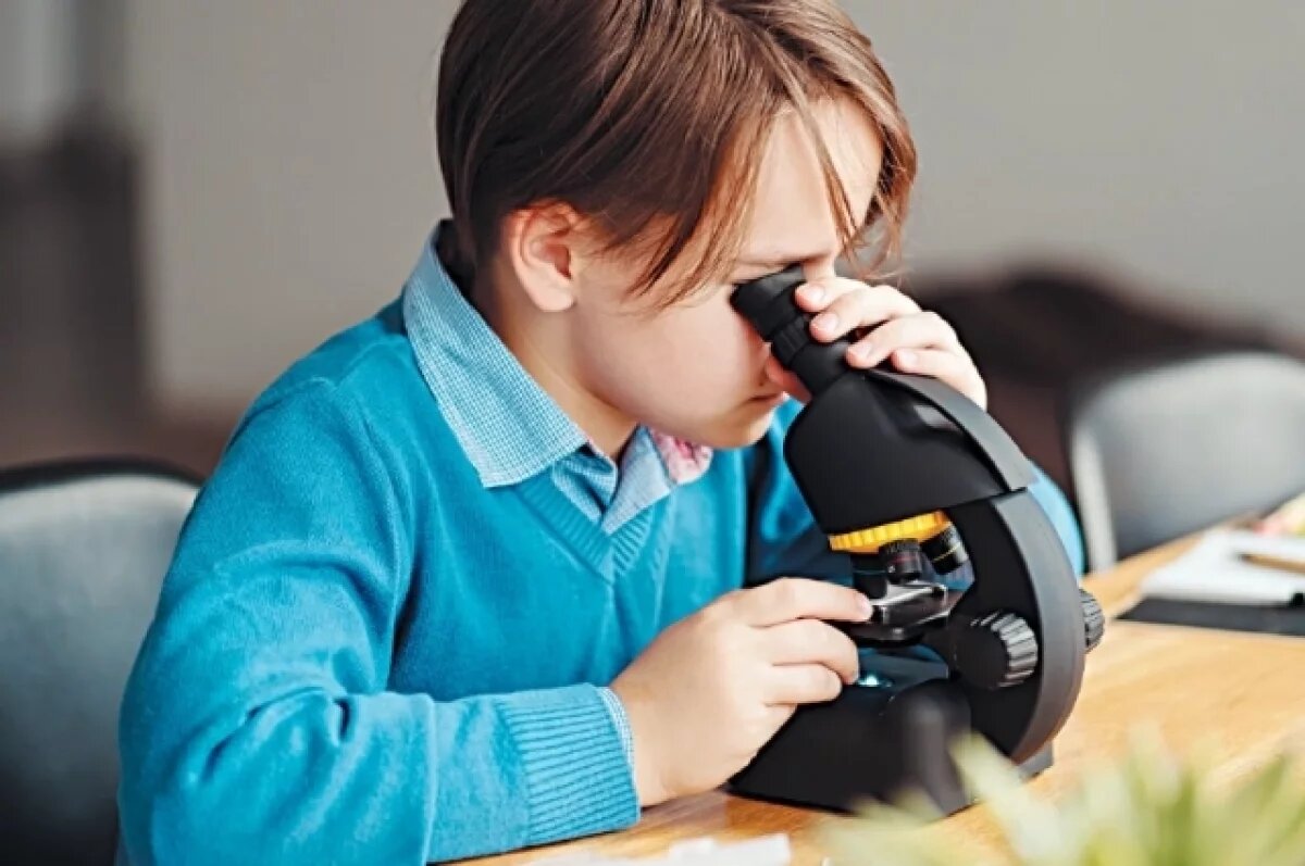    Ученики ноябрьского кванториума «Пульсар» исследуют «генетику» морошки