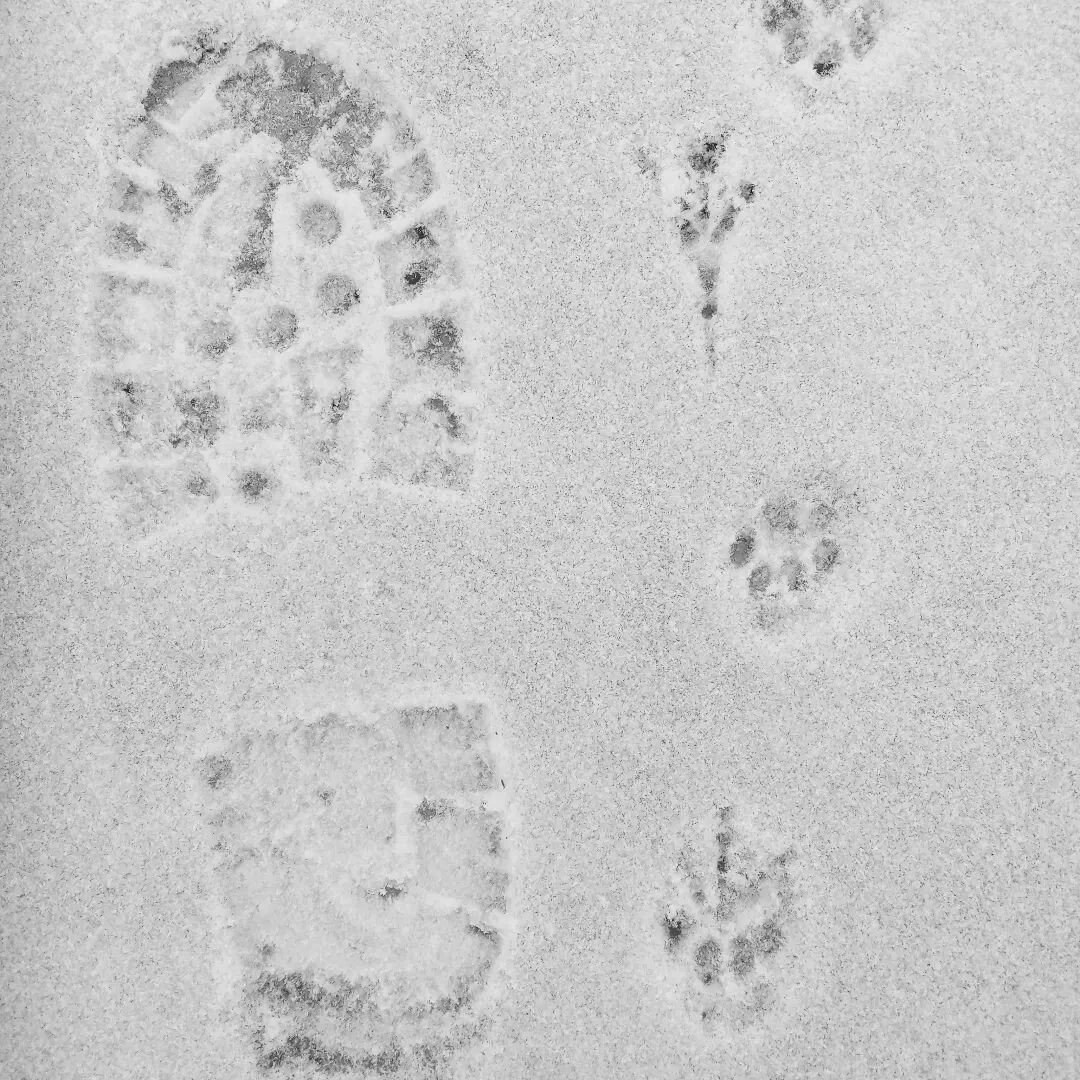 Все куда-то идут...фото автора