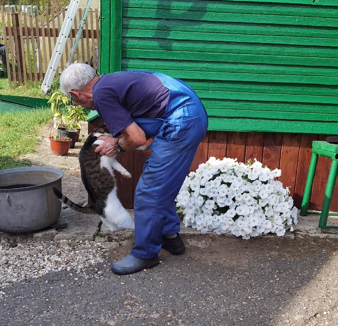 Как сфотографировать кота? Потратить полчаса на уговоры
