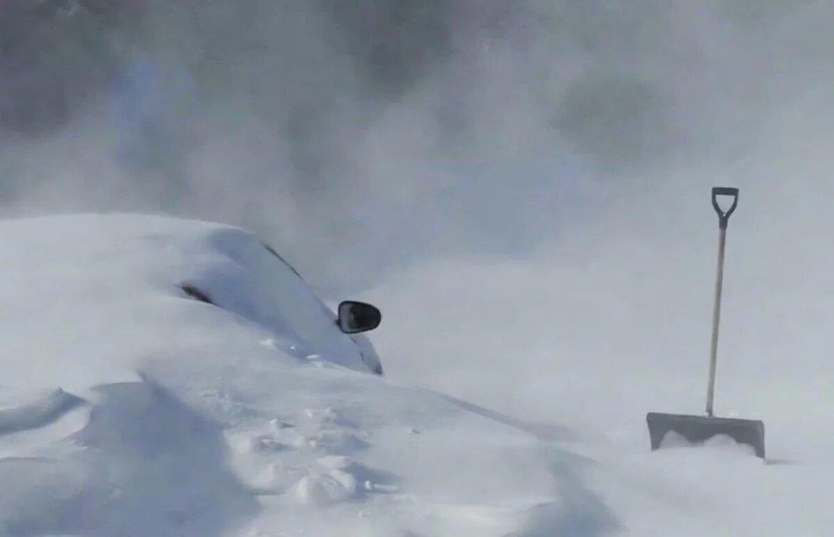    В Петропавловске житель заявил об угоне машины, которую засыпало снегом