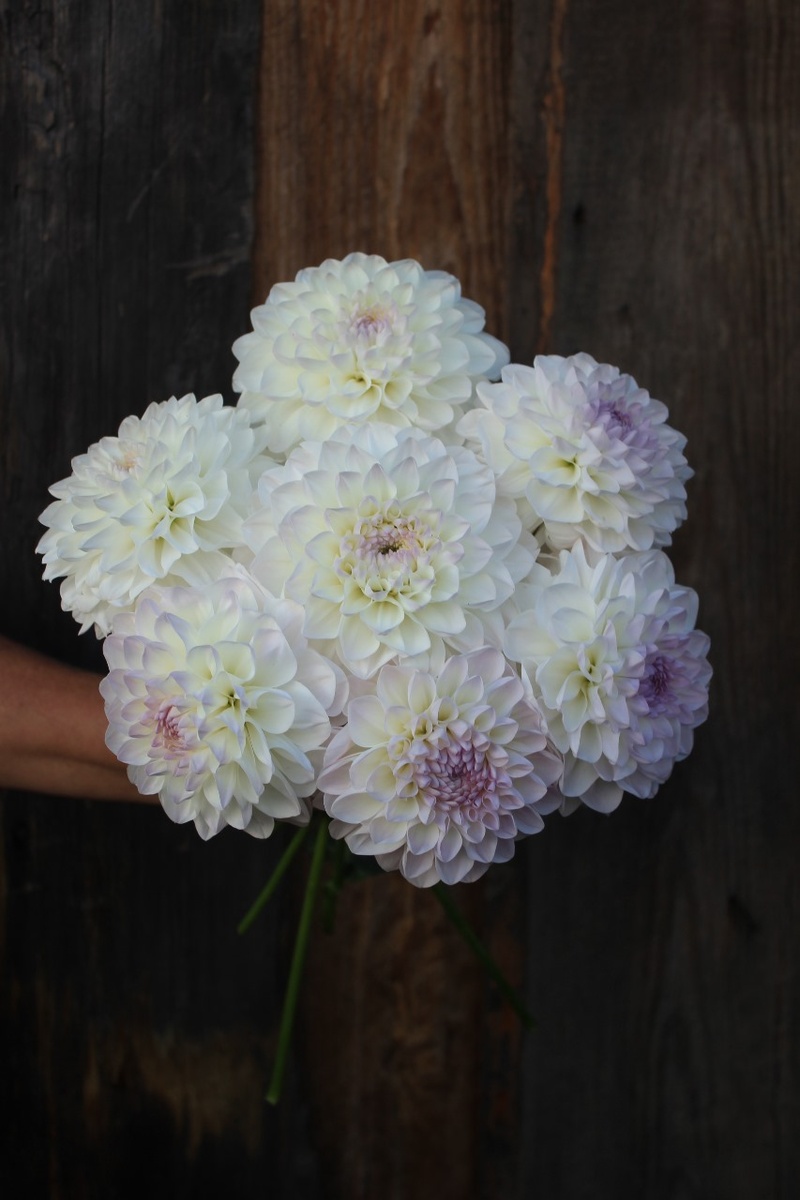 Эвелин, фото из личного архива.