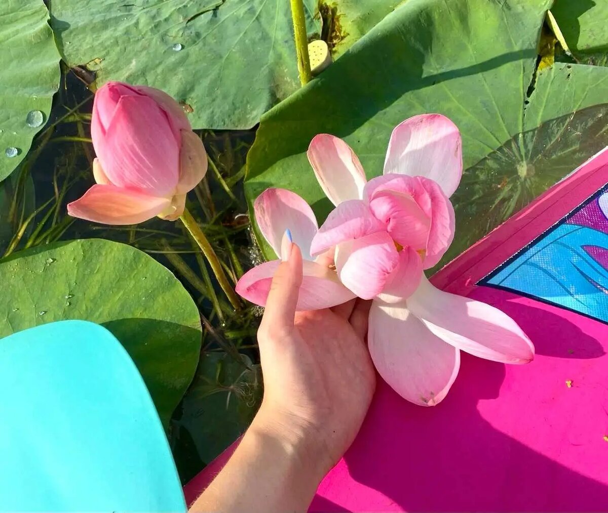     © "Интерфакс". Анастасия Антипина