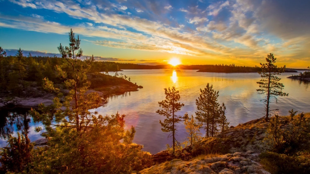     Фото: FOTOGRIN/Shutterstock/FOTODOM