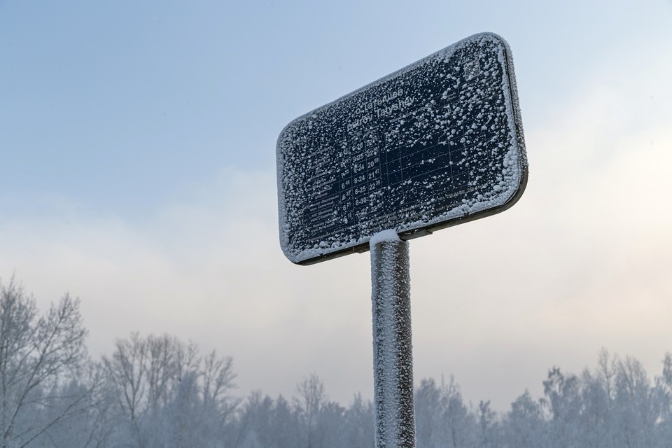   ИВАНОВА Диана