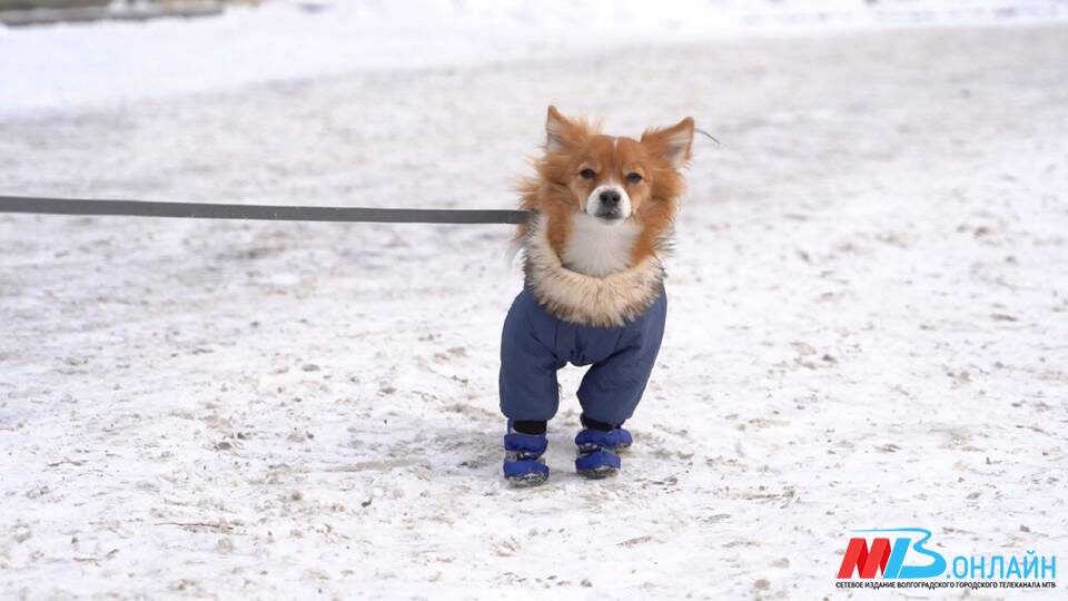    Фото: МТВ.ОНЛАЙН