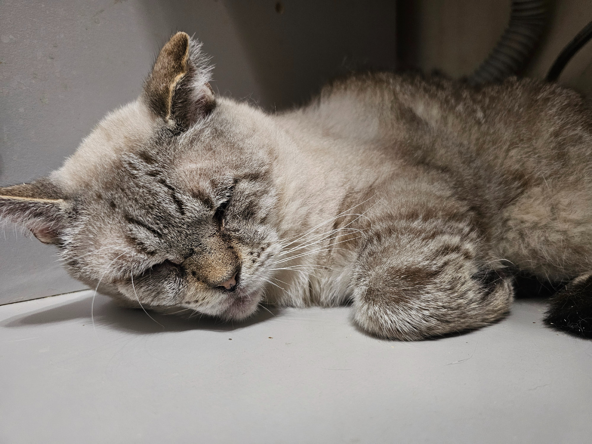 Фото автора. Мотя.