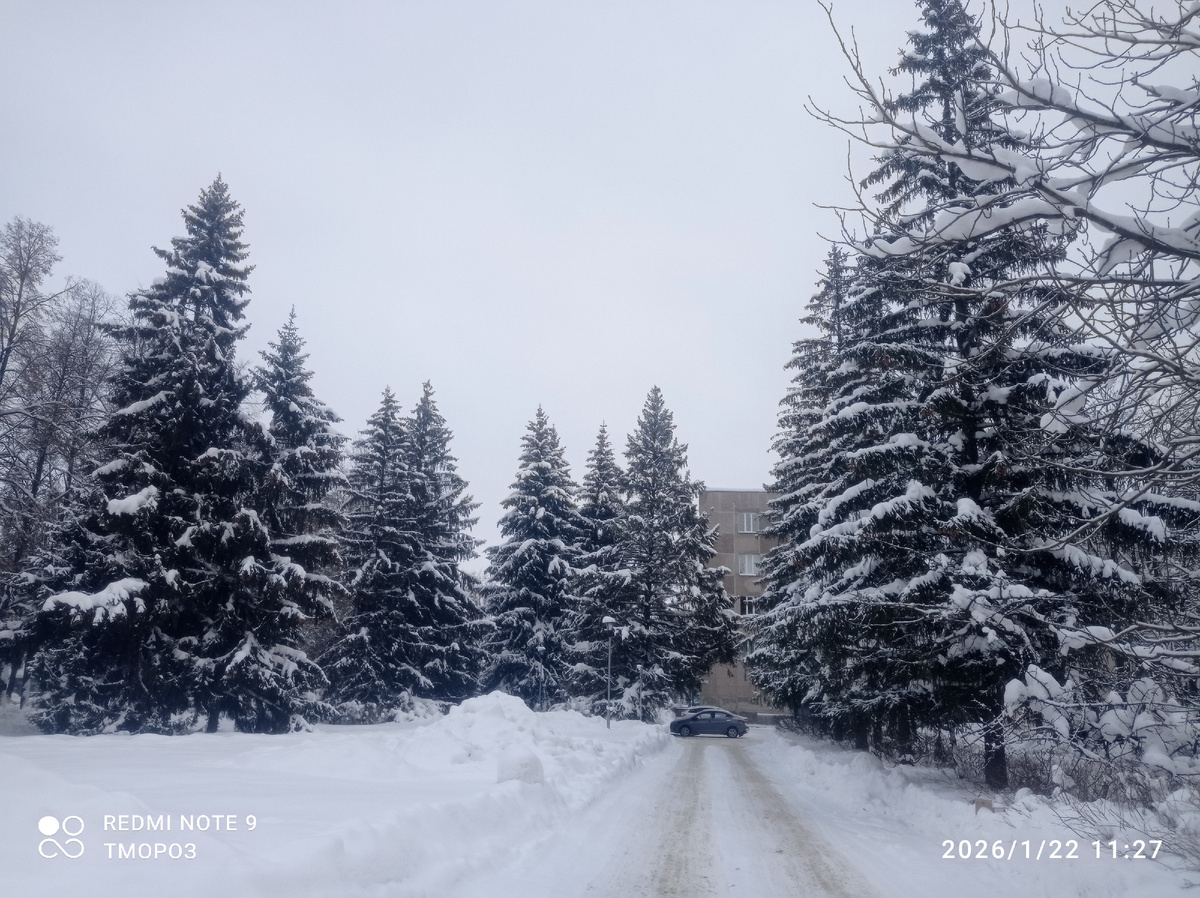 самый центр