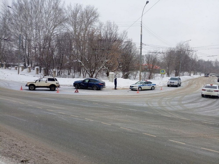   Анастасия Петрова