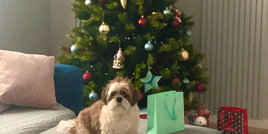 Новый год - в марте! Почему мы отмечаем в декабре.