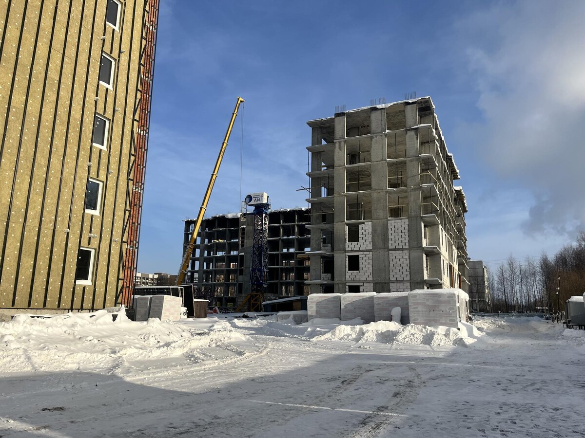    Фото: МедиаБанк Подмосковья/Ангелина Стельмух