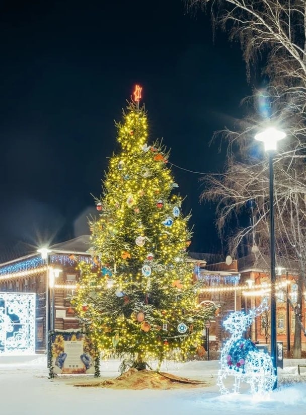 Фото: официальный телеграм-канал администрации города Тюмени