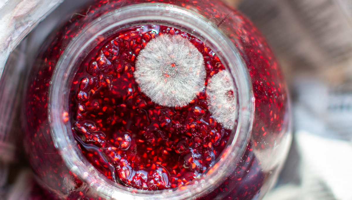     Фото: ANATOLY Foto/Shutterstock/FOTODOM Увидев пораженный продукт, важно следовать трем правилам: не нюхать его, не есть, выбросить