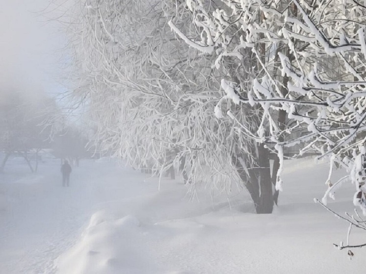     Фото: Юрий Бабичев/Сиб.фм