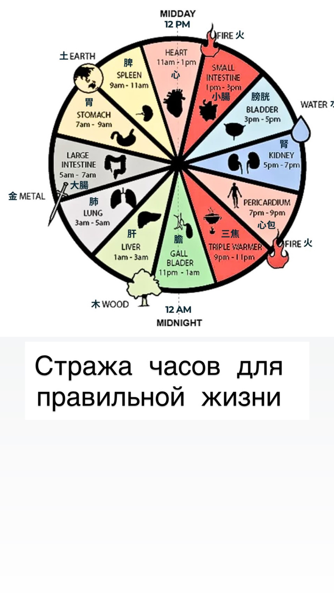 Мы руководствуемся этой схемой при постановке диагноза и игл.