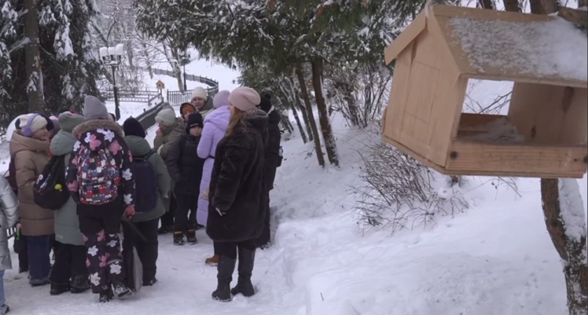    Фото: скрин видео администрации Владимира