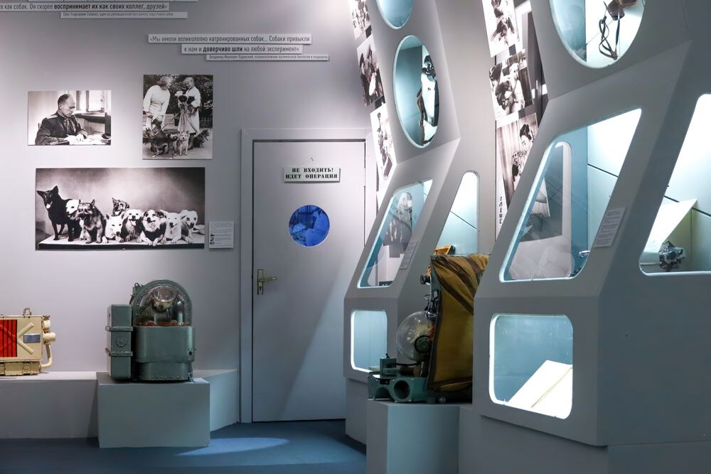 Выставка «Четвероногие космонавты»