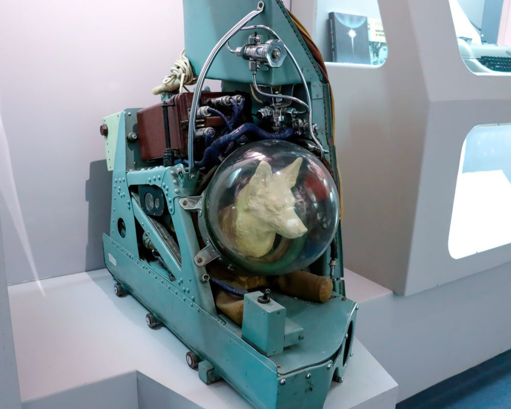 Макет катапультной тележки для собаки в безмасочном вентиляционном скафандре