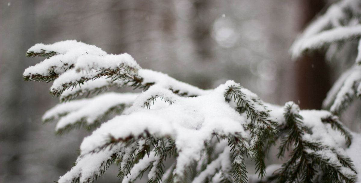 26 января синоптики прогнозируют ледяной дождь