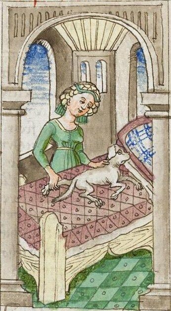 Средневековая миниатюра. Знатная дама делает массаж своей любимице, раскинувшейся на ее постели. Собака не такая уж маленькая, покрупнее французского бульдога У нее длинные лапы и массивная голова. Первые комнатные собаки не были крохотными и хрупкими, потому что все они происходят от рабочих пород.