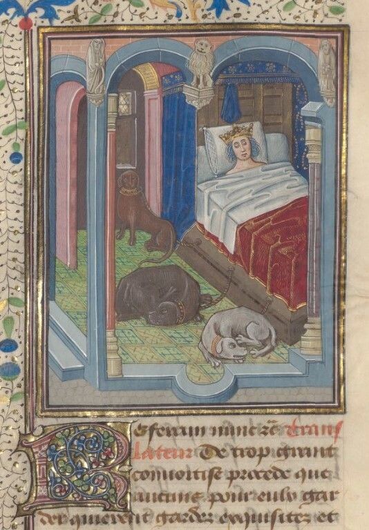 Средневековый король почивает в окружении своих любимых собак. Все три - мастифы, крупные, гладкошерстные, вислоухие,  с характерным строением черепа.