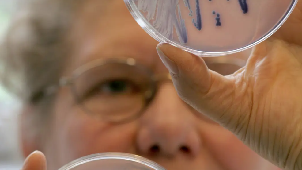 В очередной раз столица Германии остаётся горячей точкой по заболеваемости сифилисом – уже в 2024 году Берлин зарегистрировал самый высокий показатель заболеваемости в Германии.