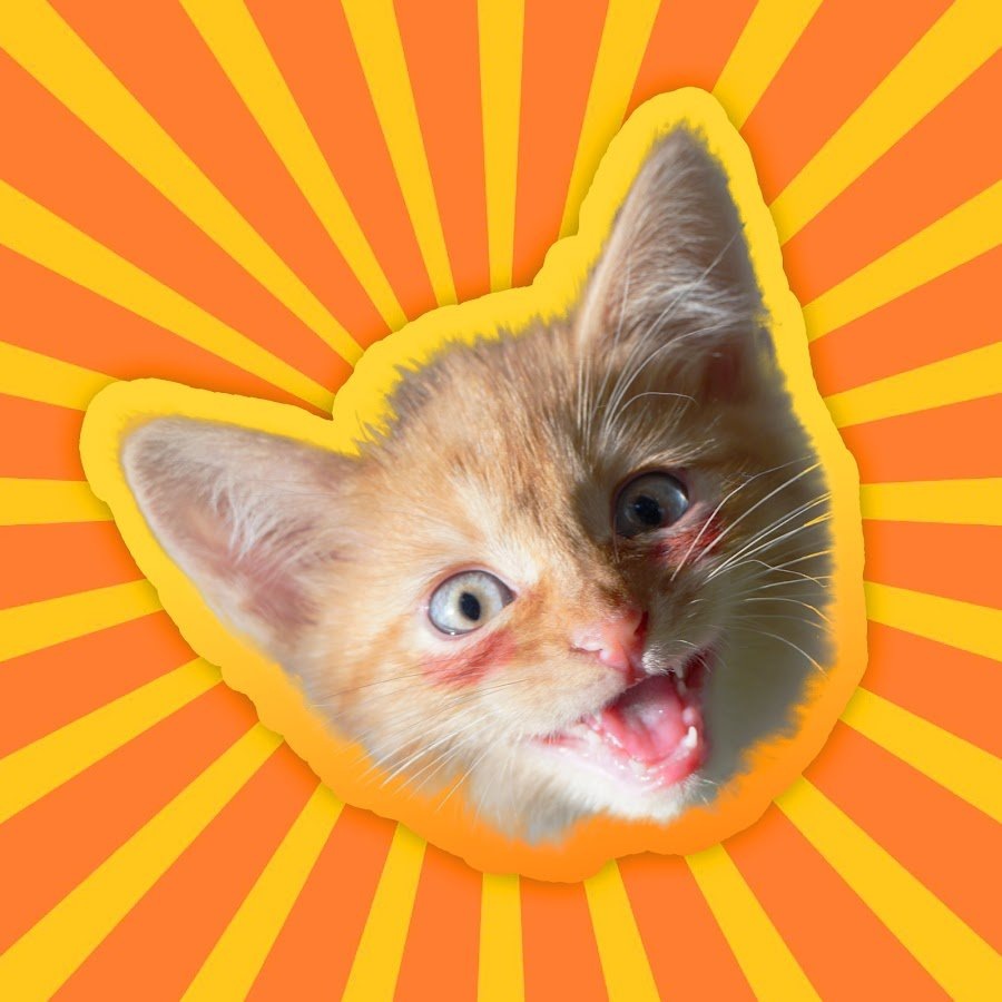 Логотип канала