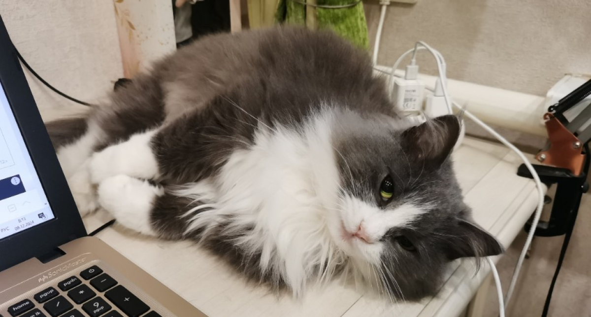 Ах, это место нужно тебе для работы? Ну поработай где-нибудь ещё.