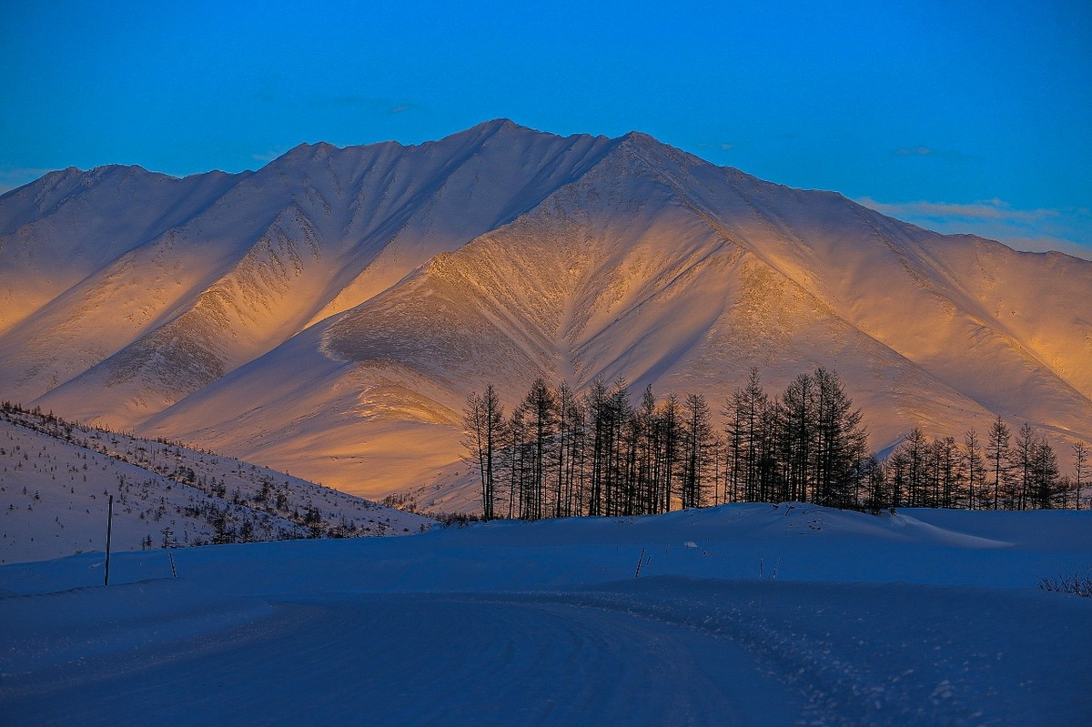 Фото: Олег Шмелев