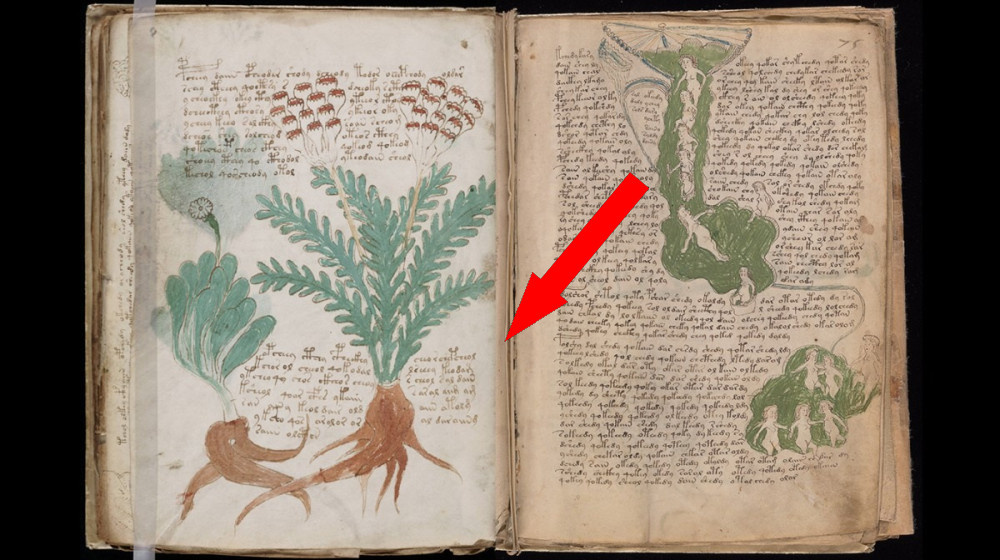    Учёные взломали шифр рукописи Войнича и раскрыли тайны средневековой медицины