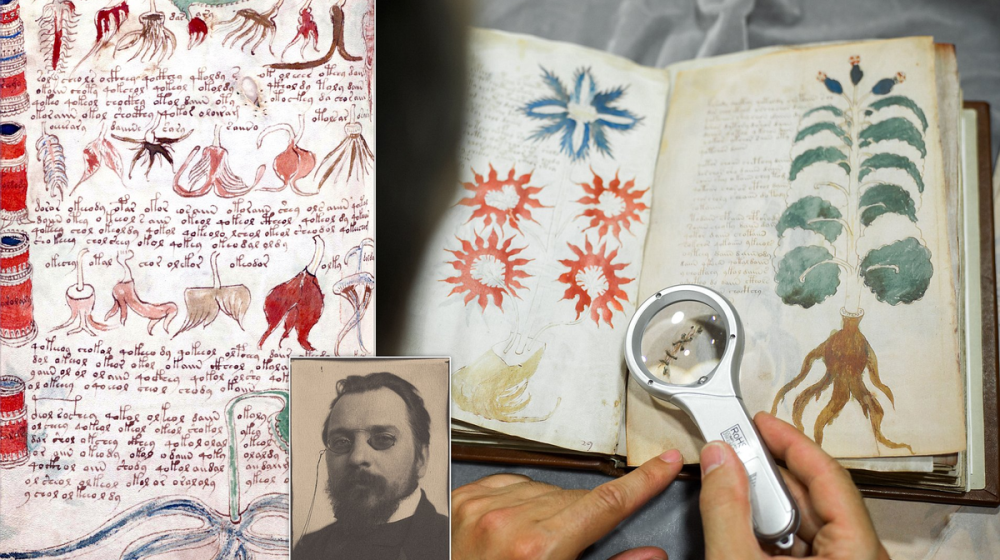    Учёные взломали шифр рукописи Войнича и раскрыли тайны средневековой медицины