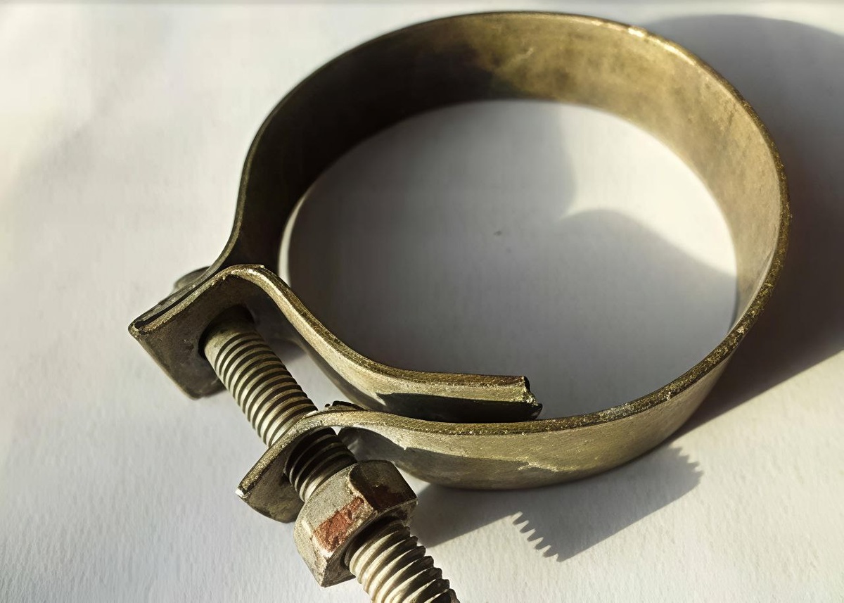 Изобретение Франца Зауэрбира