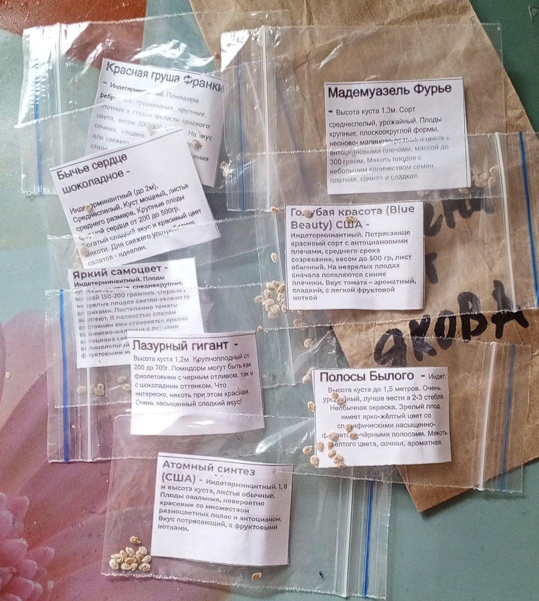 Семена томатов, фото автора