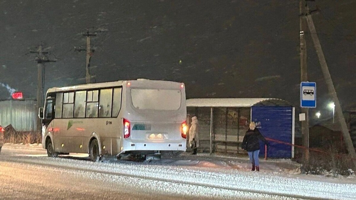    Пригородные маршруты сейчас обслуживаются автобусами ПАЗ малой вместимости   Геннадий Таранов / ВК