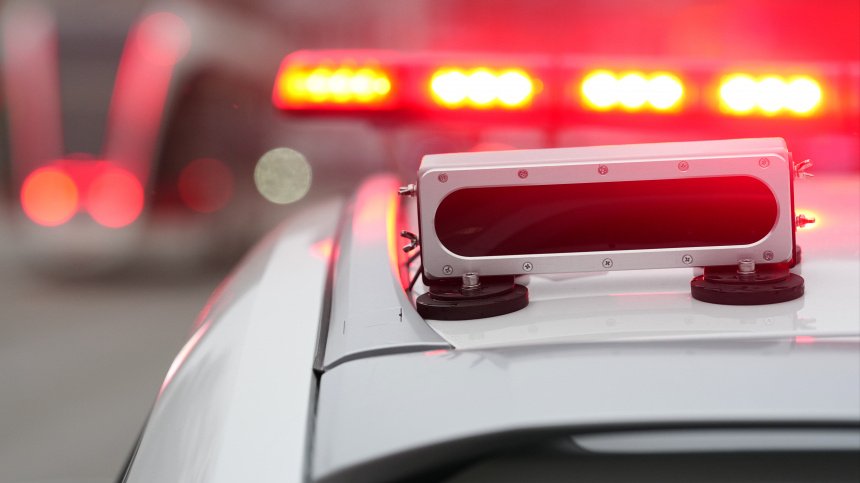    Фото: ИЗВЕСТИЯ/Эдуард Корниенко; 5-tv.ru