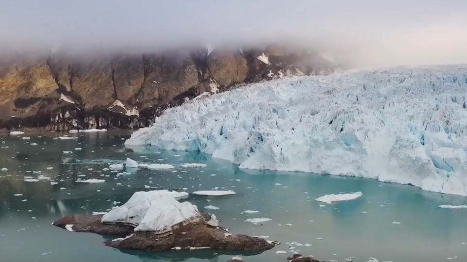 ФОТО: Кадр из программы "Загадки человечества", РЕН ТВ