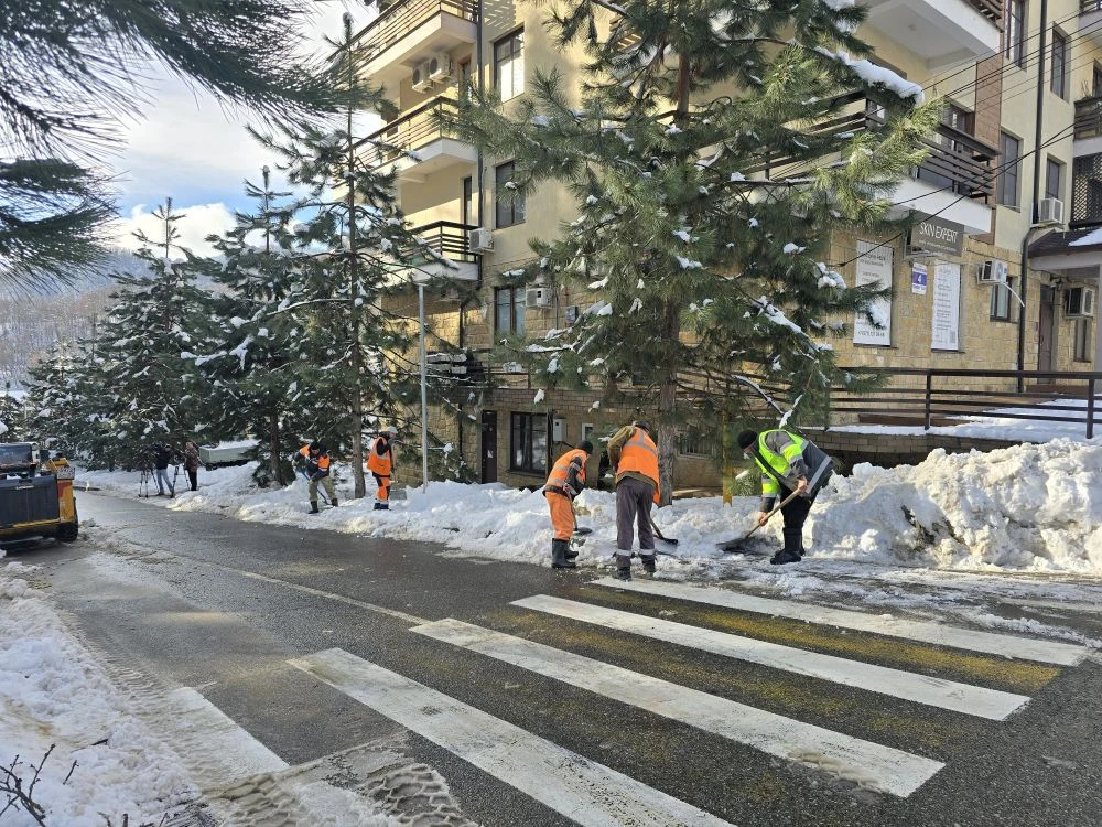 фото: sochi.ru  📷
