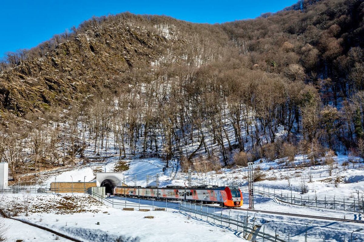 Фото: Telegram/Дмитрий Плишкин  📷
