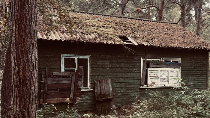   Фото: torgi.gov.ru