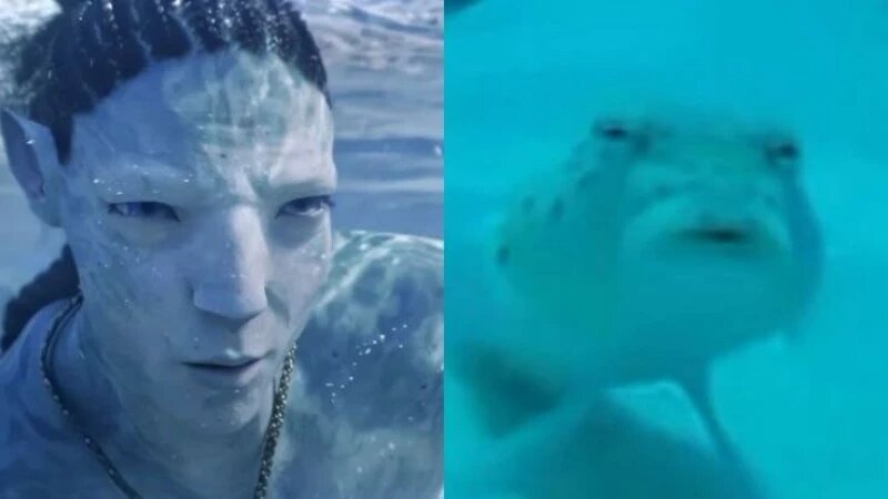     Мемы про кино. Соцсети