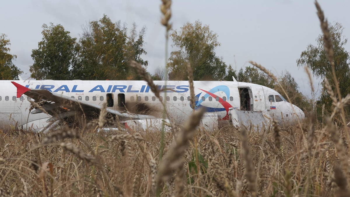   Кирилл Кухмарь / ТАСС- Архивное фото