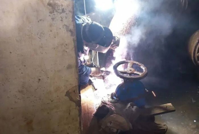 Иллюстрация: Антонина Пшеничная / tm.com