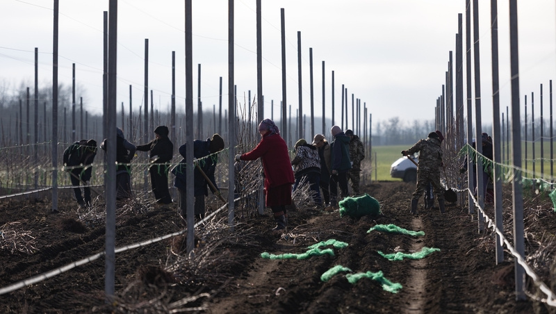      Фото: Валерия Алтухова / / ИА «Победа26»