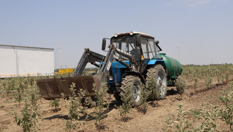    На Ставрополье особое внимание уделяют развитию садоводства Фото: ИА «Победа26»