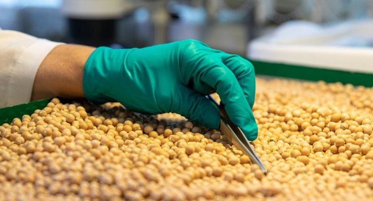    Фото: ФГБУ ЦОК АПК