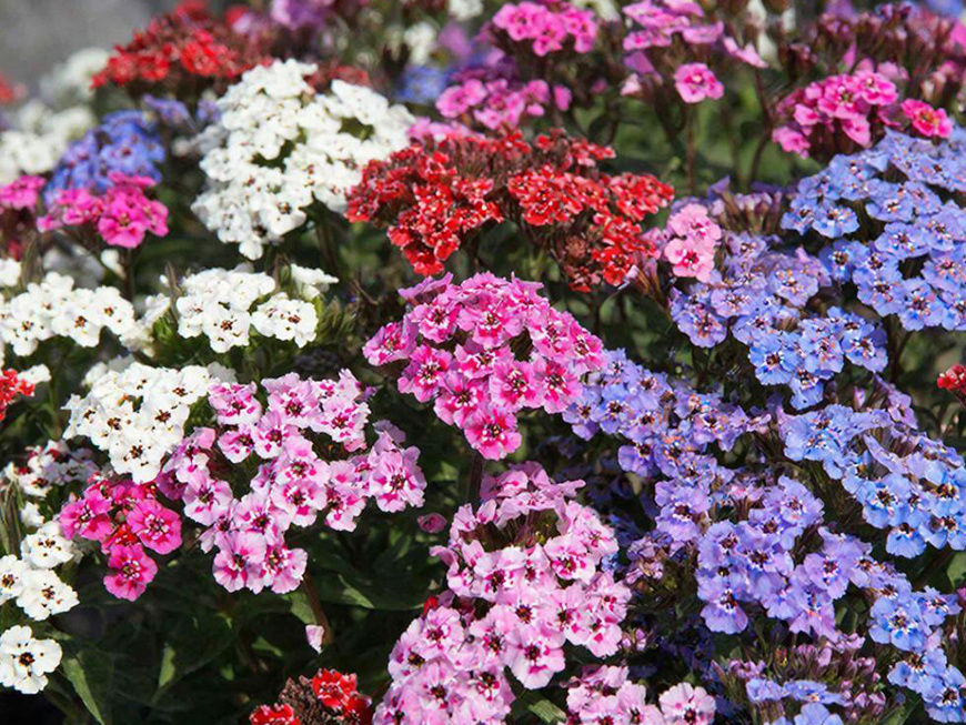 Фото сгенерировано ИИ с помощью @gigachat_bot