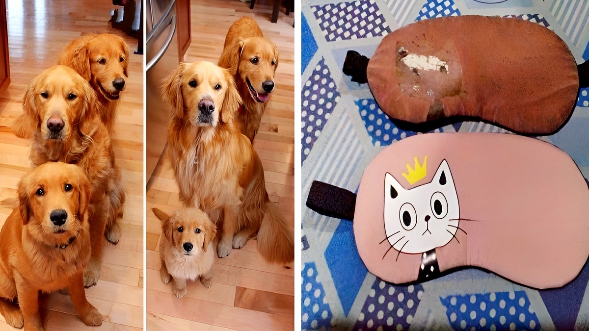 Время меняет самые обычные вещи, и эти 15 фото – прямое подтверждение этому