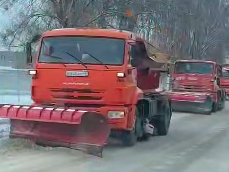     фото: скриншот из видео / Официальный телеграм-канал администрации города Липецка