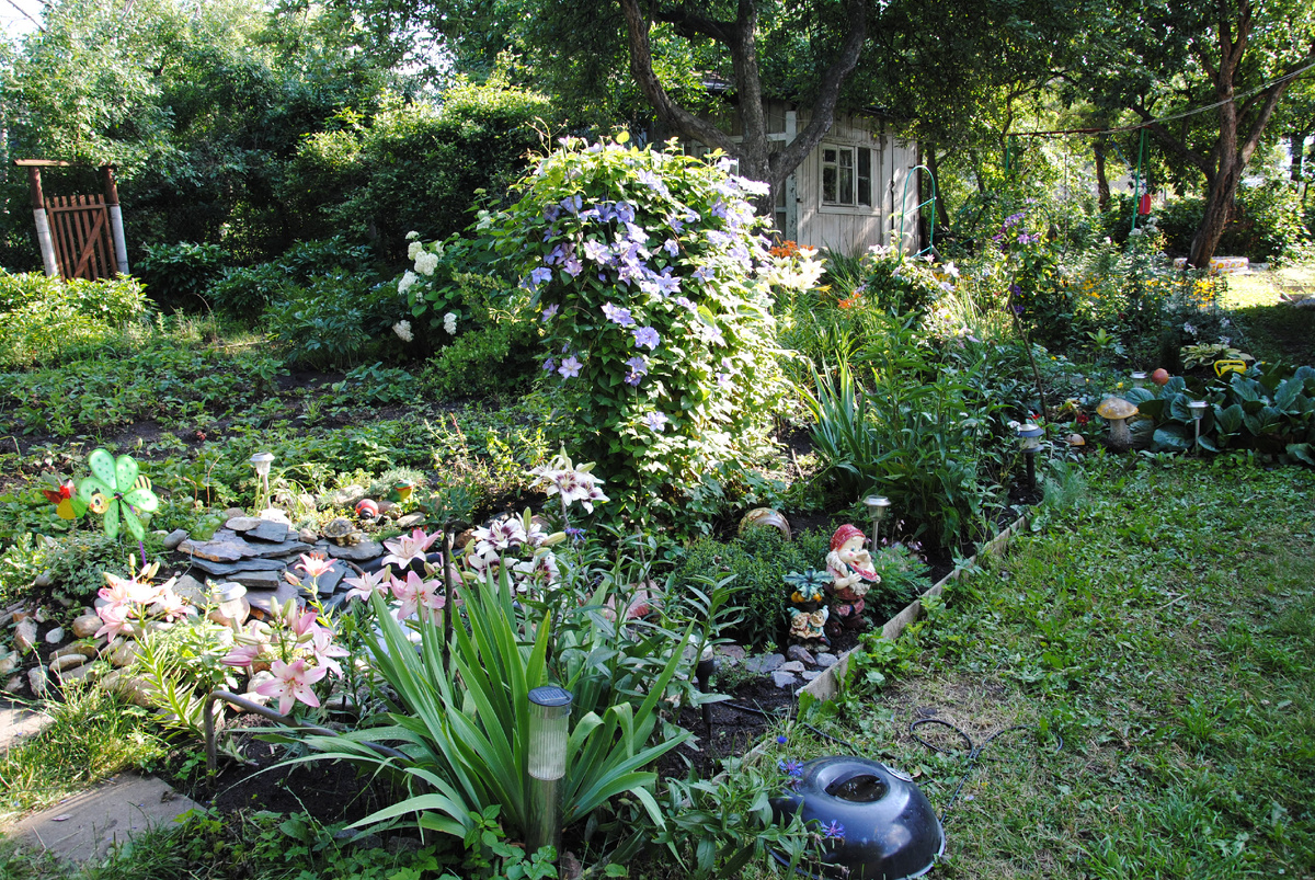 Пока не мой сад - 2011 год