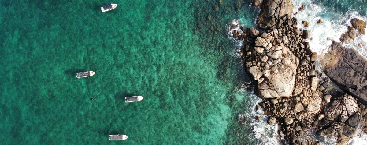 @Olga Bykova/Unsplash